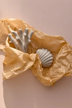 The Clam Shell skulptur 13 cm, Limestone