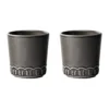 Tulipa kopp 20 cl 2-pack, Almost black