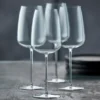 Veneto Bourgogne vinglas 77 cl 2-pack, Clear